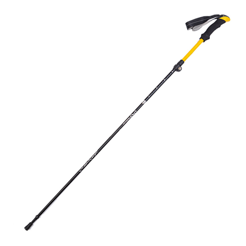 Bâtons de randonnée pliables à - Trekking Poles avis et prix